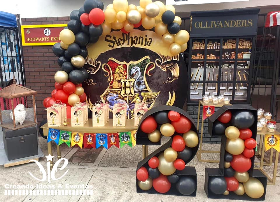 Decoración de fiesta de cumpleaños con temática de Harry Potter, cartel de  globo, decoración para ta ZefeiWu 8390615001595